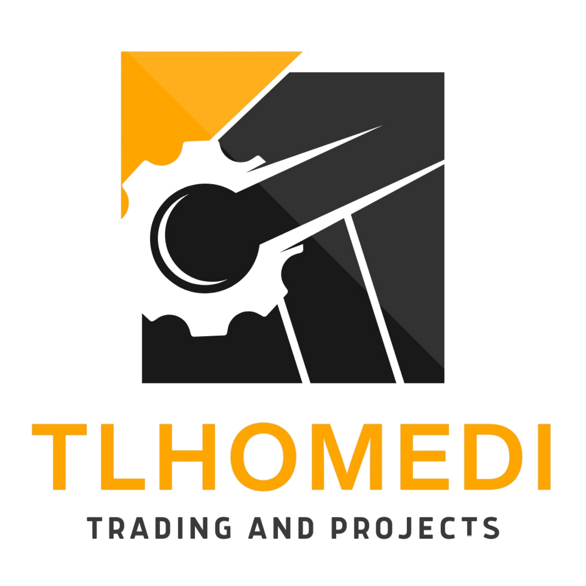 Tlhomedi Trading and Projects